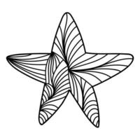 estrela abstrata doodle isolada no fundo branco. vetor