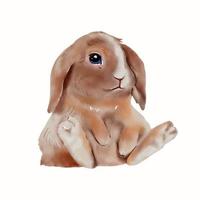 ilustração em aquarela de coelhinho da páscoa isolada no fundo branco. vetor de desenho de mão de coelho fofo