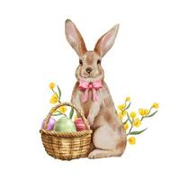 desenho de mão em aquarela de coelhinho da páscoa bonito isolado. ilustração vetorial de coelho adorável