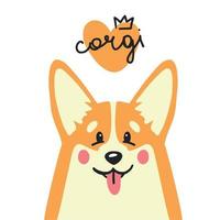 cachorro bonito da raça corgi vetor