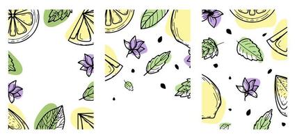 definir fundo com limão, flor, folhas. ilustração em vetor desenhado à mão de frutas. no estilo de uma gravura com manchas coloridas.citrus, desenho botânico. para cartazes, estampas, papéis de parede, capas