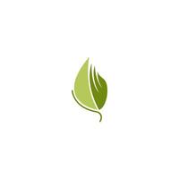folha verde, modelo de design de logotipo de ícone de folha natural vetor