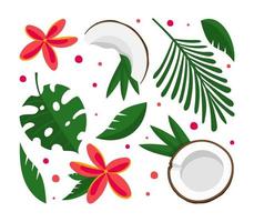 metade de coco com folhas verdes tropicais e flores definir ilustração vetorial isolada no fundo branco vetor