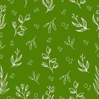 padrão floral verde sem costura com folhas de contorno vetor