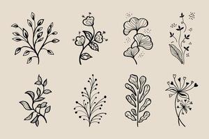 elementos florais de design vetorial desenhado à mão vetor