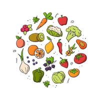 conjunto desenhado à mão de fontes de vitamina c. legumes, frutas, bagas. estilo de desenho doodle. ilustração vetorial colorida para banner, site, plano de fundo e muito mais. vetor