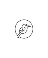 design de logotipo kookaburra vetor