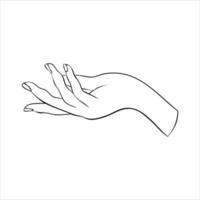 silhueta linear de uma elegante mão feminina ou bruxa. movimentos místicos da postura dos dedos. ilustração vetorial vetor