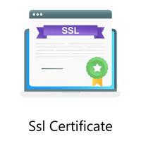 certificado ssl, vetor editável de conquista na web