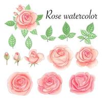 conjunto de elementos em aquarela rosa. flor, folhas, broto, botânico isolado no fundo branco. mão desenhada ilustração vetorial. vetor