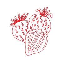 desenhos à mão livre de morango, deliciosas frutas maduras, imagem vetorial, estilo retrô vetor