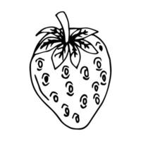 único elemento de fatia de morango em conjunto de verão doodle. ilustração vetorial desenhada à mão para cartões, cartazes, adesivos e design sazonal. vetor