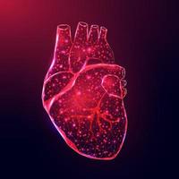 coração humano. estilo de baixo poli de wireframe. conceito para ciência médica, doença de cardiologia. ilustração em vetor 3d moderno abstrato em fundo azul escuro.