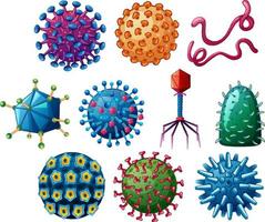 diferentes formas de vírus vetor