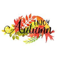Aquarela Outono tipografia com moldura de folhas vetor