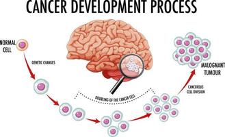 diagrama mostrando o cérebro humano e câncer vetor