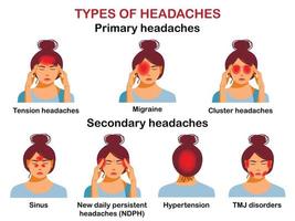 tipos de dores de cabeça. infográfico vetorial. vetor