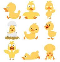 coleção de desenhos animados de pato amarelo fofo vetor