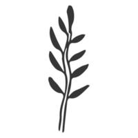 planta floral, ramo em estilo doodle isolado no fundo branco. decoração de design elegante, elemento. . ilustração vetorial vetor