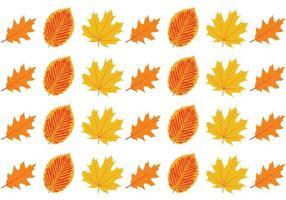 Conjunto de outono de folha padrão vetor