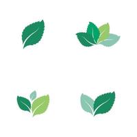 conjunto de ícone de cor de vetor plana de folhas de hortelã