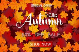 Hello Autumn Sale vetor