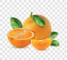 composição transparente laranja realista vetor