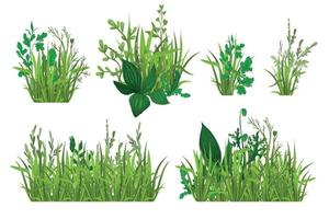 conjunto realista de grama verde vetor