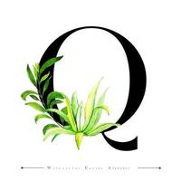 Letra do alfabeto Q com cacto em aquarela e folhas