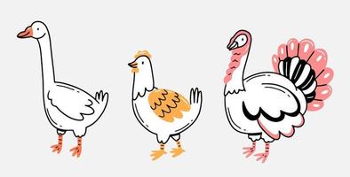 ganso, frango e peru em estilo doodle desenhado à mão linear. aves domésticas em estilo cartoon. ilustração em vetor animal isolado.