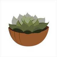 suculenta em um vaso de flores isolado no branco. planta para decoração de interiores de casa ou escritório. ilustração vetorial em estilo simples. vetor