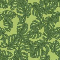 monstera folha sem costura pattern.vintage tropical ramo em estilo de gravura. vetor