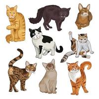 conjunto de desenhos animados de gato fofo. ilustração vetorial para design.