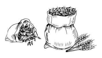 saco ou saco de farinha de trigo de pão, ilustração vetorial de estilo doodle desenhado à mão isolada no fundo branco. cozinhar e assar farinha ou farinha, ingrediente alimentar. vetor