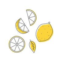 doodle contorno de limão com manchas. inteiro, pedaços e folhas vetor