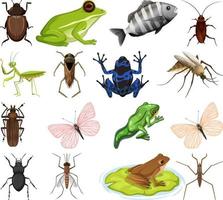 diferentes tipos de insetos e animais em fundo branco vetor