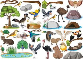 diferentes tipos de coleção de animais selvagens vetor
