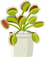 planta carnívora de venus flytrap e inseto vetor