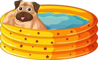 um cão pug em desenhos animados de piscina inflável vetor