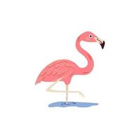 flamingo rosa em um fundo branco. ilustração vetorial. vetor