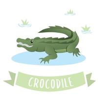 ilustração em vetor crocodilo dos desenhos animados. um crocodilo verde feliz, personagem fofo de crocodilo. ilustração vetorial