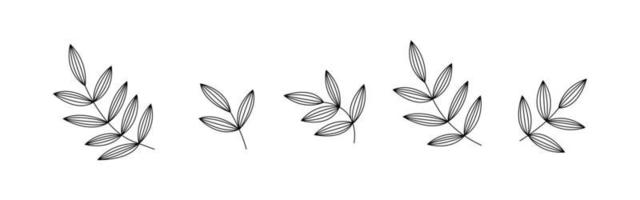 escova floral botânica com folha. borda de desenho de mão. abstrato deixar padrão de fundo. design de textura botânica para impressão, artes de parede e papel de parede. ilustração vetorial vetor