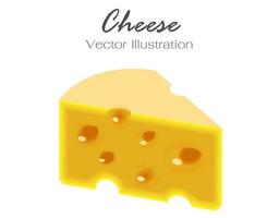 pedaço de queijo isolado no fundo branco vetor