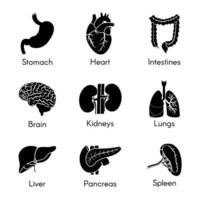 conjunto de órgãos isolados internos de silhueta negra. ilustração em vetor design gráfico plano