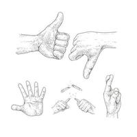 mão desenhada ilustração vetorial de mão. diferente. cima baixo. Pare vetor