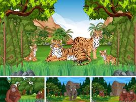 diferentes cenas de floresta com animais selvagens vetor