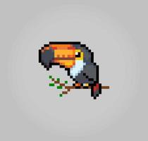 pássaro de tucano de pixel de 8 bits. pixel animal em ilustrações vetoriais para ativos de jogos e padrões de ponto cruz. vetor