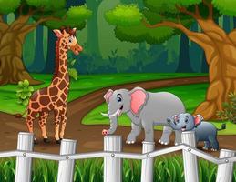 ilustração de girafas e elefantes andando na floresta vetor