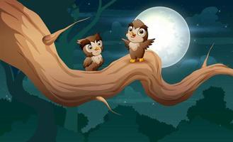 bonitos duas corujas no galho de árvore à noite ilustração vetor