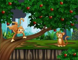 cena da floresta com macacos na ilustração de macieira vetor